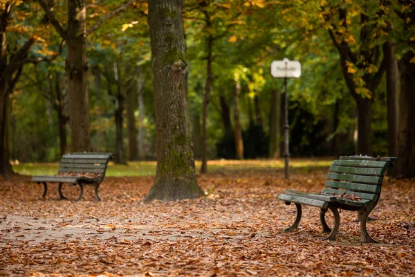 Herbst in Berlin — Stockfoto