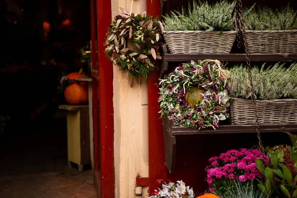 Autumn decoration with pumpkins and flowers — Stock Photo, Image