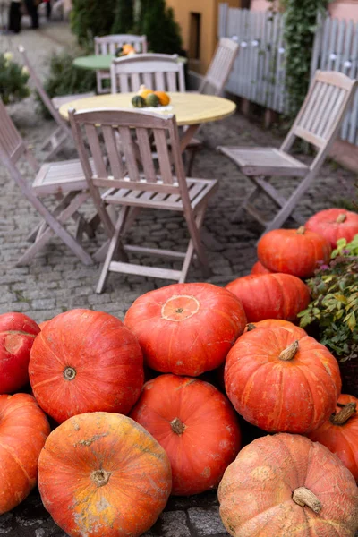 Höstdekoration med pumpor — Stockfoto