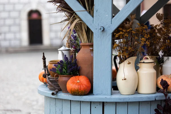 Decoração de outono com abóboras — Fotografia de Stock