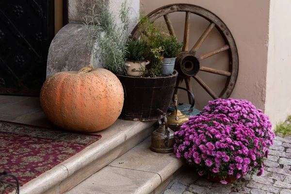 Podzimní dekorace s dýněmi — Stock fotografie