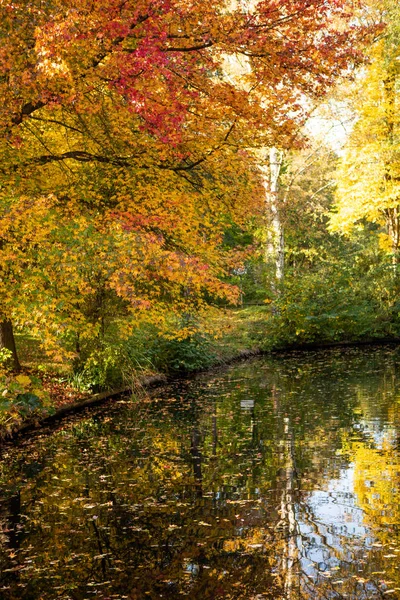 Autumn Tiergarten Park Berlin — Stock Photo, Image