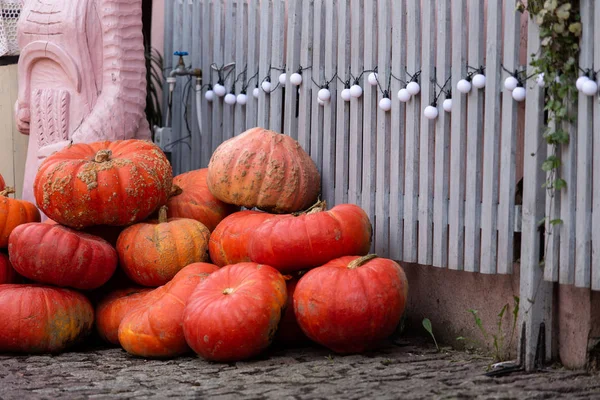 Höstdekoration med pumpor — Stockfoto