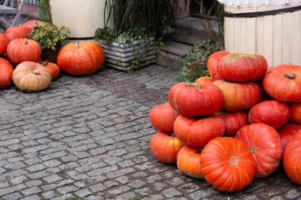 Decorazione autunnale con zucche — Foto Stock