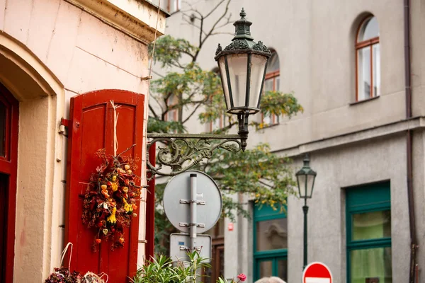 Autumn decoration at a flower shop — Stock Photo, Image