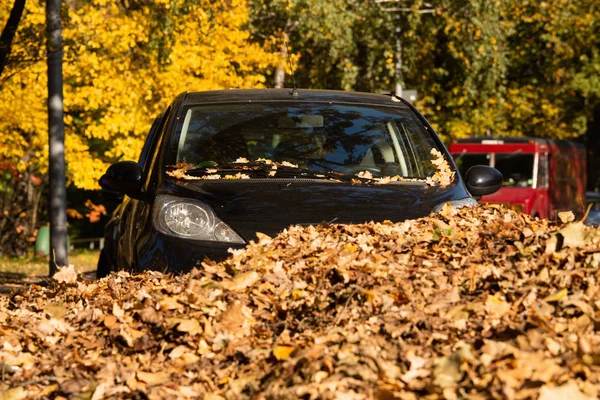 Coche en una pila de hojas de otoño —  Fotos de Stock