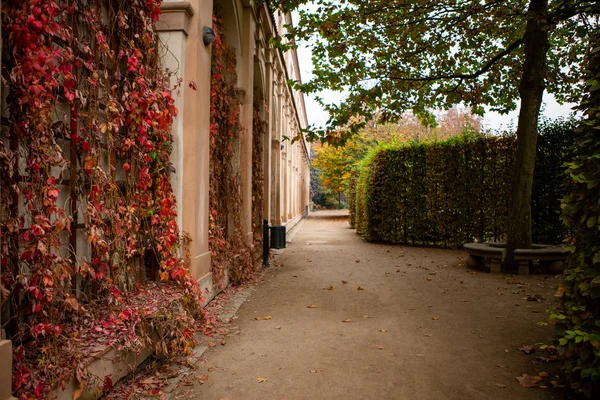 Otoño en el parque de Praga —  Fotos de Stock