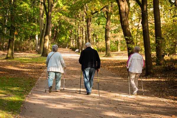 Людей похилого віку, які займаються скандинавські ходьба — стокове фото