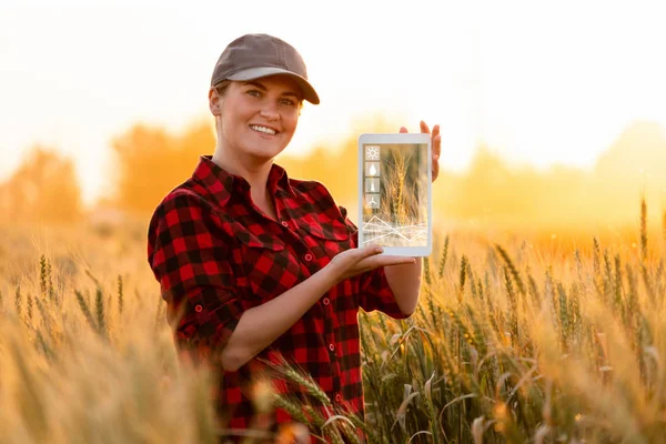 Uma mulher agricultora está segurando um tablet — Fotografia de Stock