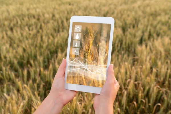 A farmer is holding a tablet — Stock Photo, Image