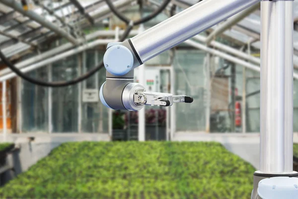 温室でロボット アーム — ストック写真