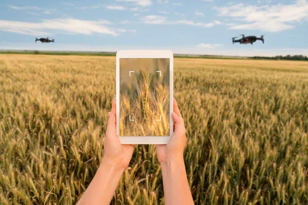 Un granjero maneja drones con una tableta —  Fotos de Stock