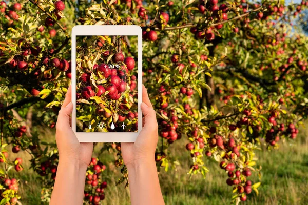 Smart farming and digital agriculture concept. — Stock Photo, Image