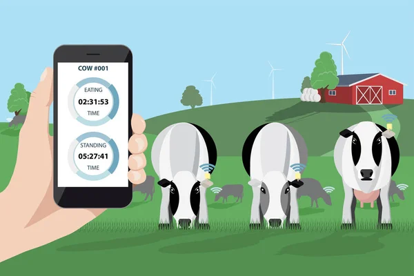 Controle van een kudde koeien op een melkveebedrijf — Stockvector
