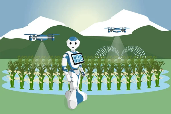 Robot et drone arrosent les légumes — Image vectorielle