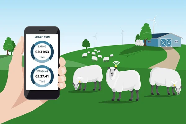 Überwachung von Schafen in Smart Farm. — Stockvektor