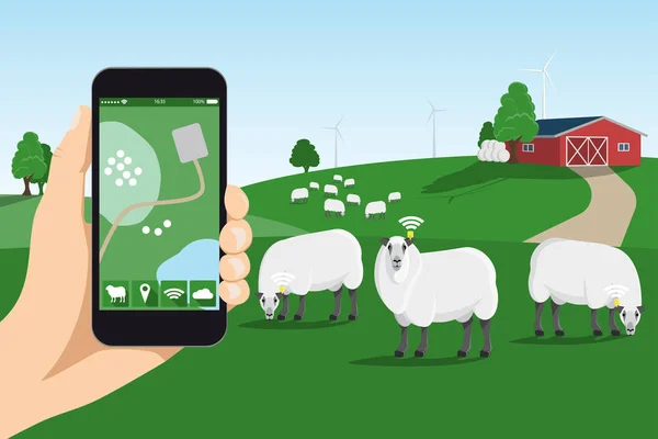 Monitoramento de rastreamento de ovelhas na fazenda inteligente . —  Vetores de Stock