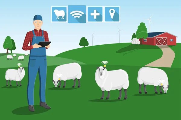 Farmer Computer Tablet Grazing Herd Sheep Smart Farm — Stock Vector