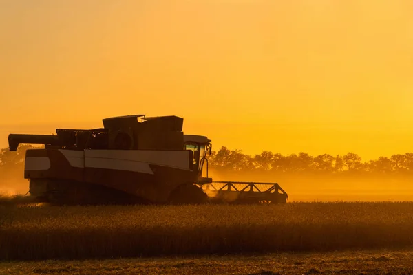 Colheitadeira colheitadeira de trigo ao pôr do sol . — Fotografia de Stock