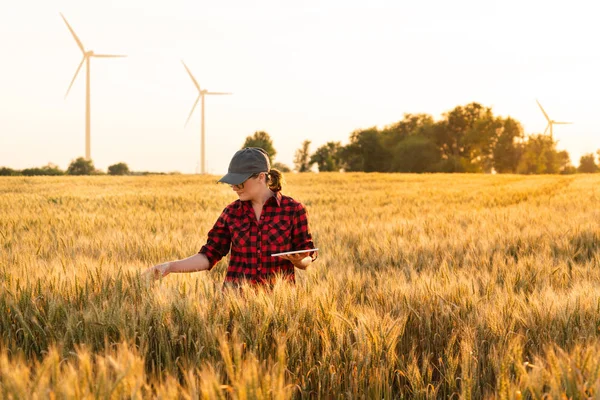 Uma mulher agricultora com tablet — Fotografia de Stock