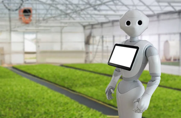 Robot in a greenhouse — Stock Photo, Image