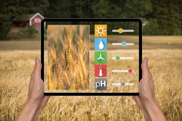 Agricoltore con tablet — Foto Stock