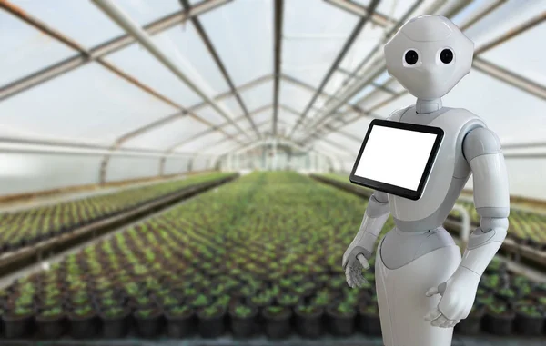 Robot in a greenhouse — Stock Photo, Image