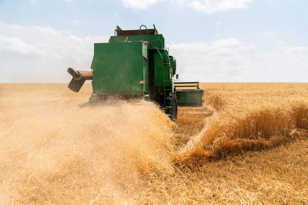 Sklízecí kombajn sklízí pšenici — Stock fotografie