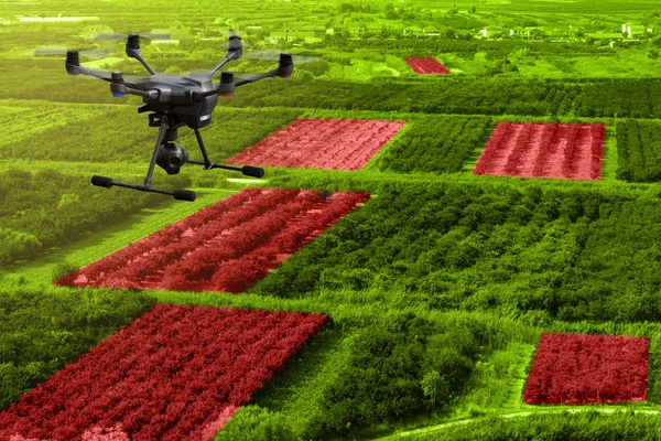 Drohne fliegt über landwirtschaftliche Flächen — Stockfoto