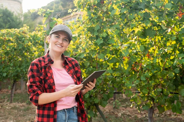 女性農家がブドウ園を調べ タブレットからクラウドにデータを送信します スマート農業とデジタル農業 — ストック写真