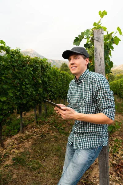 Фермер Исследует Виноградник Отправляет Данные Облако Планшета Умное Сельское Хозяйство — стоковое фото