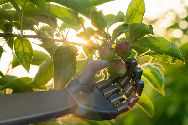 Robot Pracuje Ovocné Zahradě Digitální Transformace Zemědělství Inteligentní Zemědělství — Stock fotografie