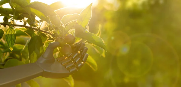 Robot Werkt Een Fruittuin Digitale Transformatie Landbouw Slimme Landbouw — Stockfoto