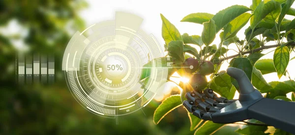 Robot Works Fruit Garden Digital Transformation Agriculture Smart Farming — Stock Photo, Image
