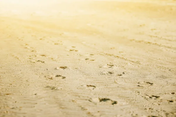 Sand Dunes Desert Global Warming — Stock Photo, Image