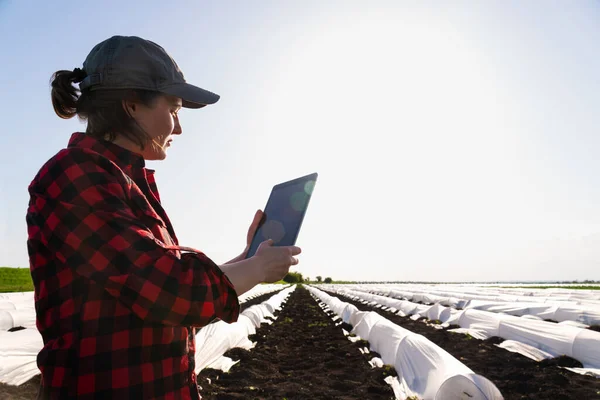 Uma Agricultora Com Tablet Digital Num Campo Batatas Agricultura Inteligente — Fotografia de Stock
