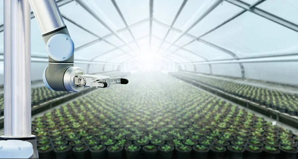 Robot pracuje ve skleníku — Stock fotografie