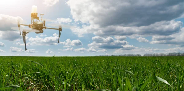 Drohne fliegt über ein Weizenfeld — Stockfoto