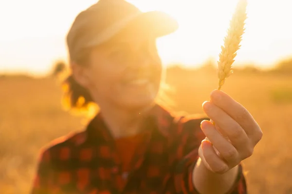Žena farmář se dívá na ucho pšenice. — Stock fotografie