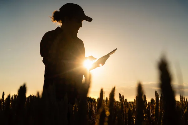 Silhouette di una donna contadina — Foto Stock