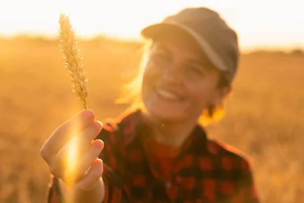 Žena farmář se dívá na ucho pšenice. — Stock fotografie
