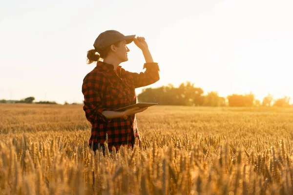 Жінка фермер з цифровим планшетом — стокове фото