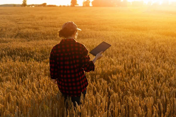 Agriculteur femme avec une tablette numérique — Photo