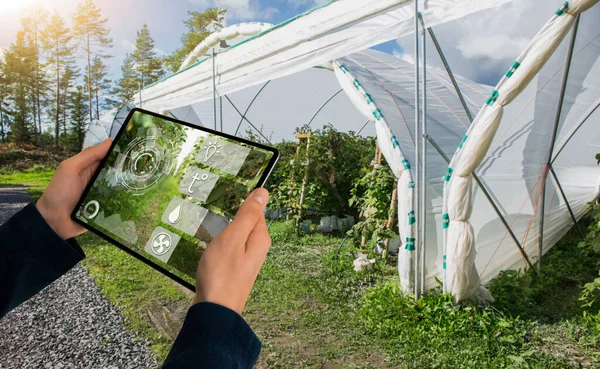 Jeden Farmář Drží Tabletu Pozadí Skleníku Inteligentní Zemědělství Precizní Zemědělství — Stock fotografie