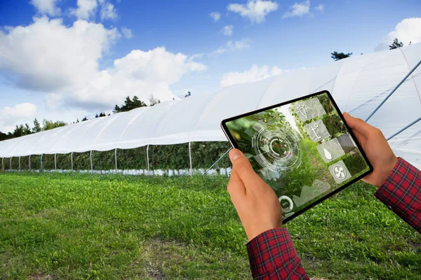 Agricultor Está Segurando Tablet Fundo Uma Estufa Agricultura Inteligente Agricultura — Fotografia de Stock