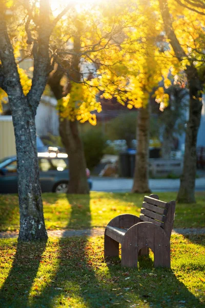 Holzbank Herbstlichen Stadtpark — Stockfoto