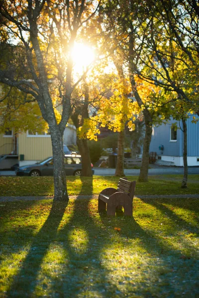 秋城公园的木制长椅 — 图库照片