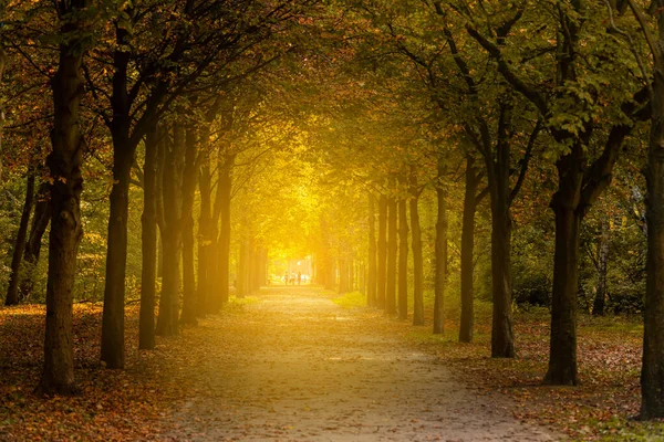 Öffentlicher Park Herbst Europa — Stockfoto