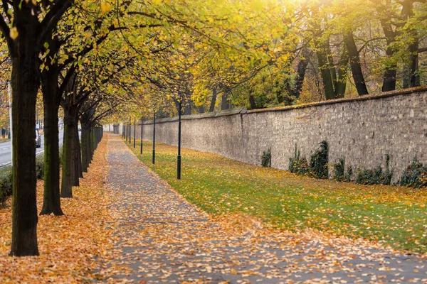 Podzimní Městský Veřejný Park Evropě — Stock fotografie