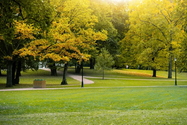 Herfst stadspark — Stockfoto